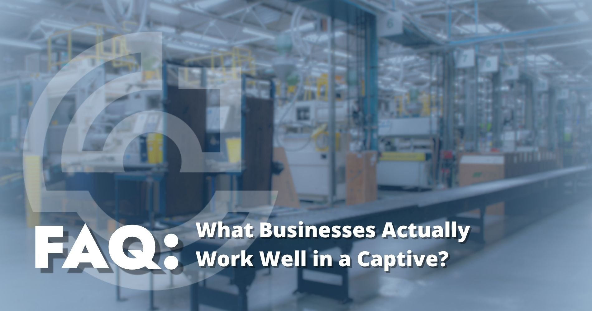 Hero Image What Businesses Actually Work Well in a Captive